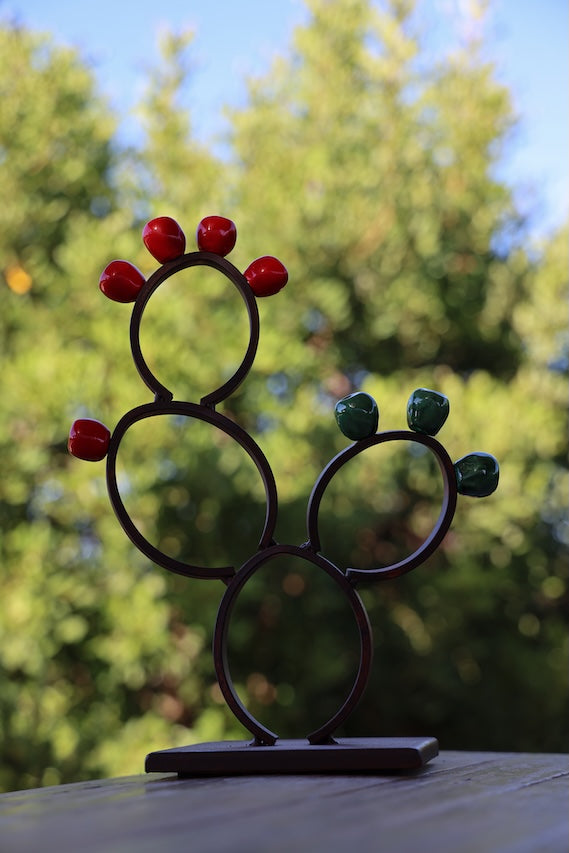 CACTUS WITH MAGNETIC FRUITS