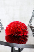 SEA URCHIN