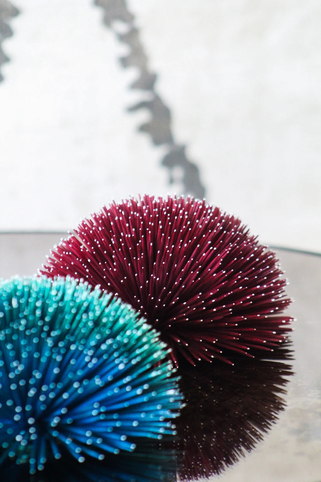SEA URCHIN