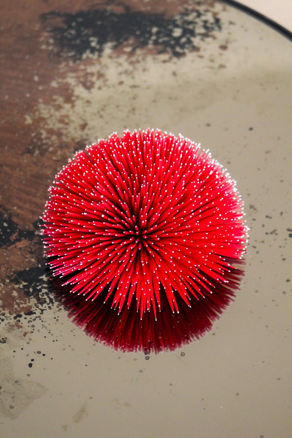 SEA URCHIN