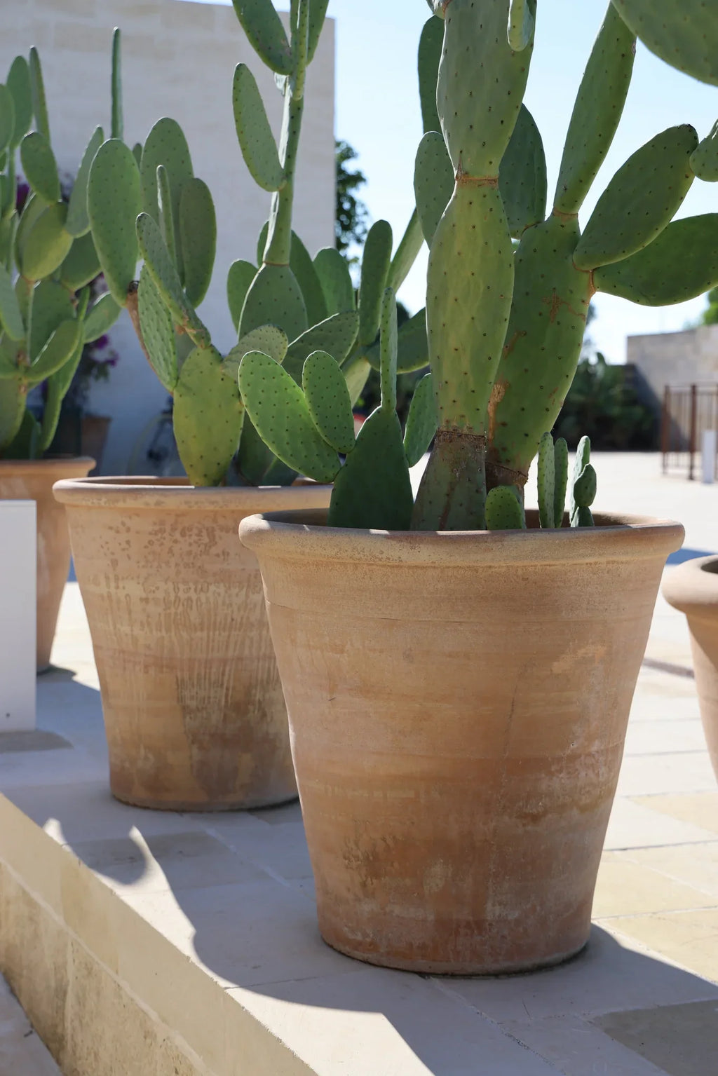 VASO IN TERRACOTTA