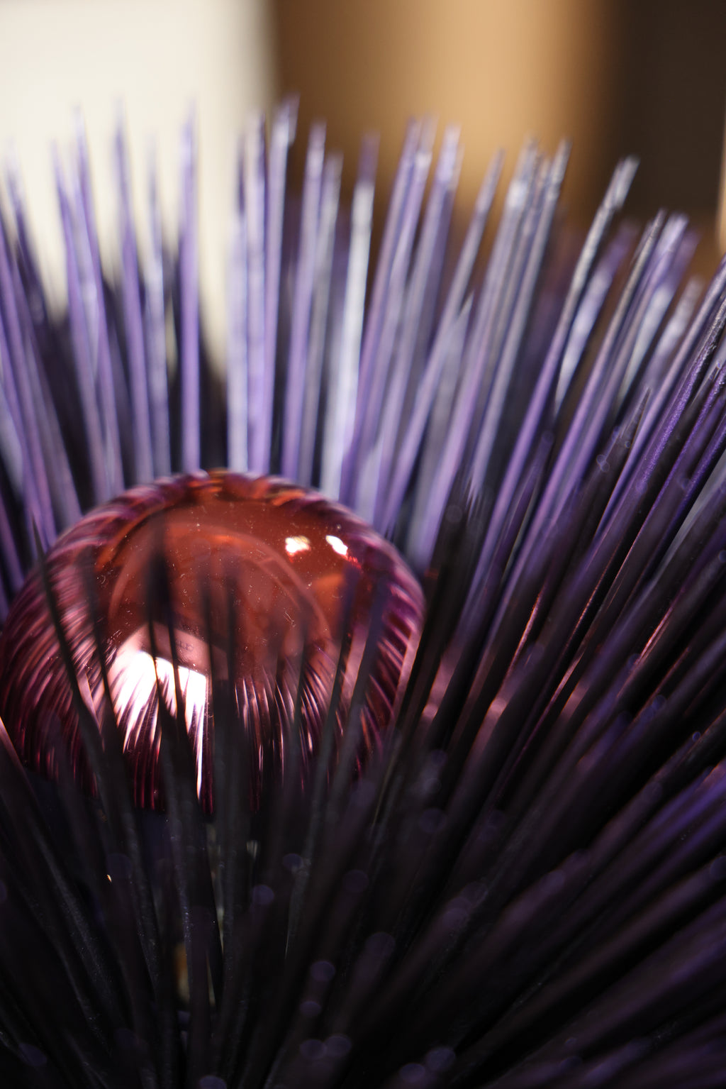 SEA URCHIN LAMP