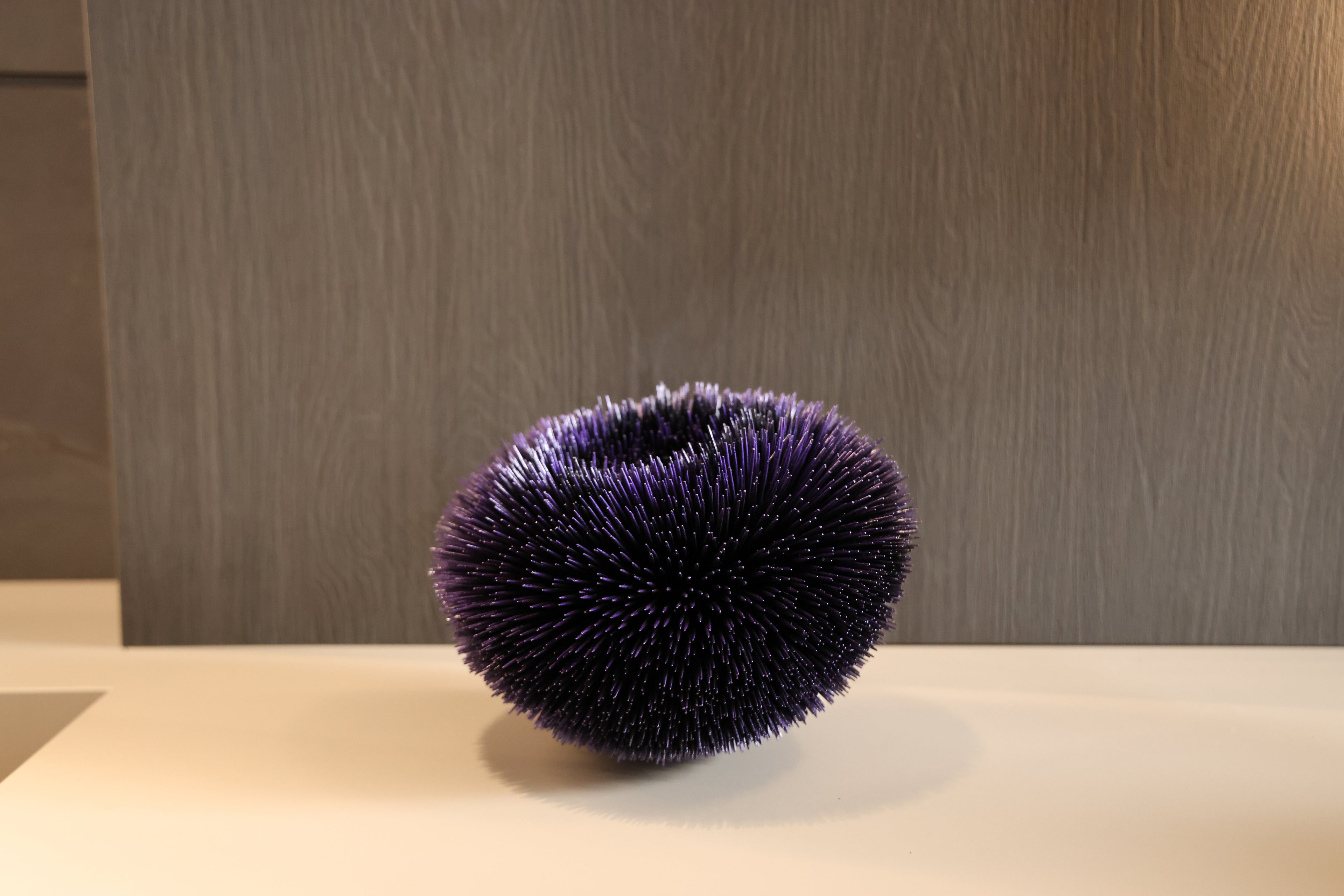 ALBISA SEA URCHIN