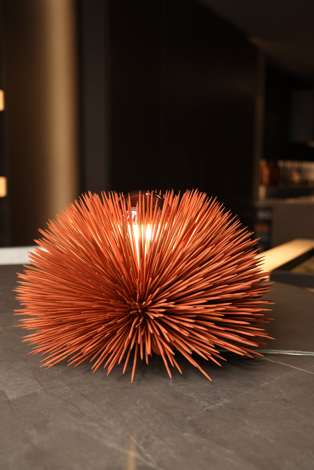 SEA URCHIN LAMP
