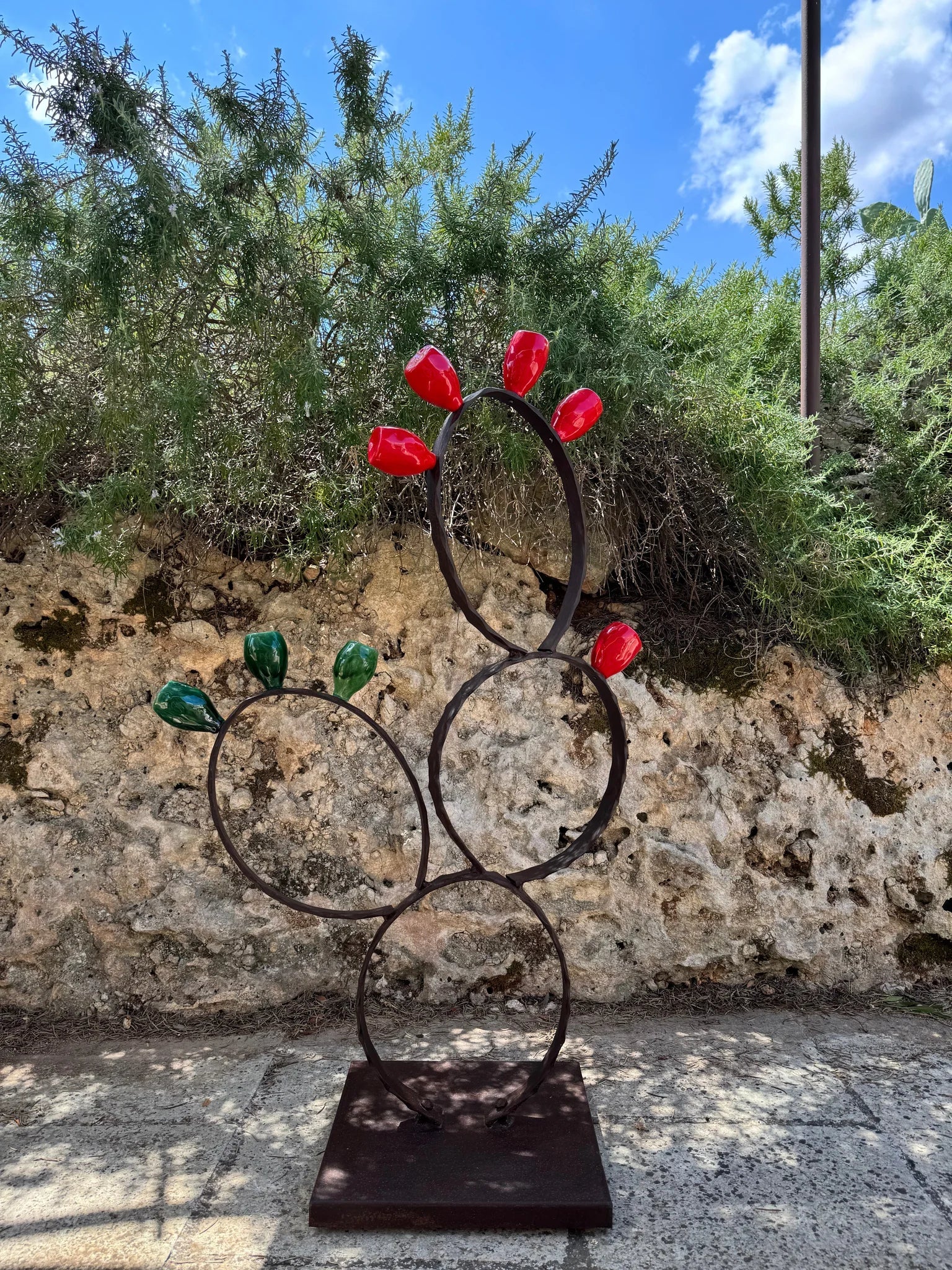 CACTUS DA PAVIMENTO