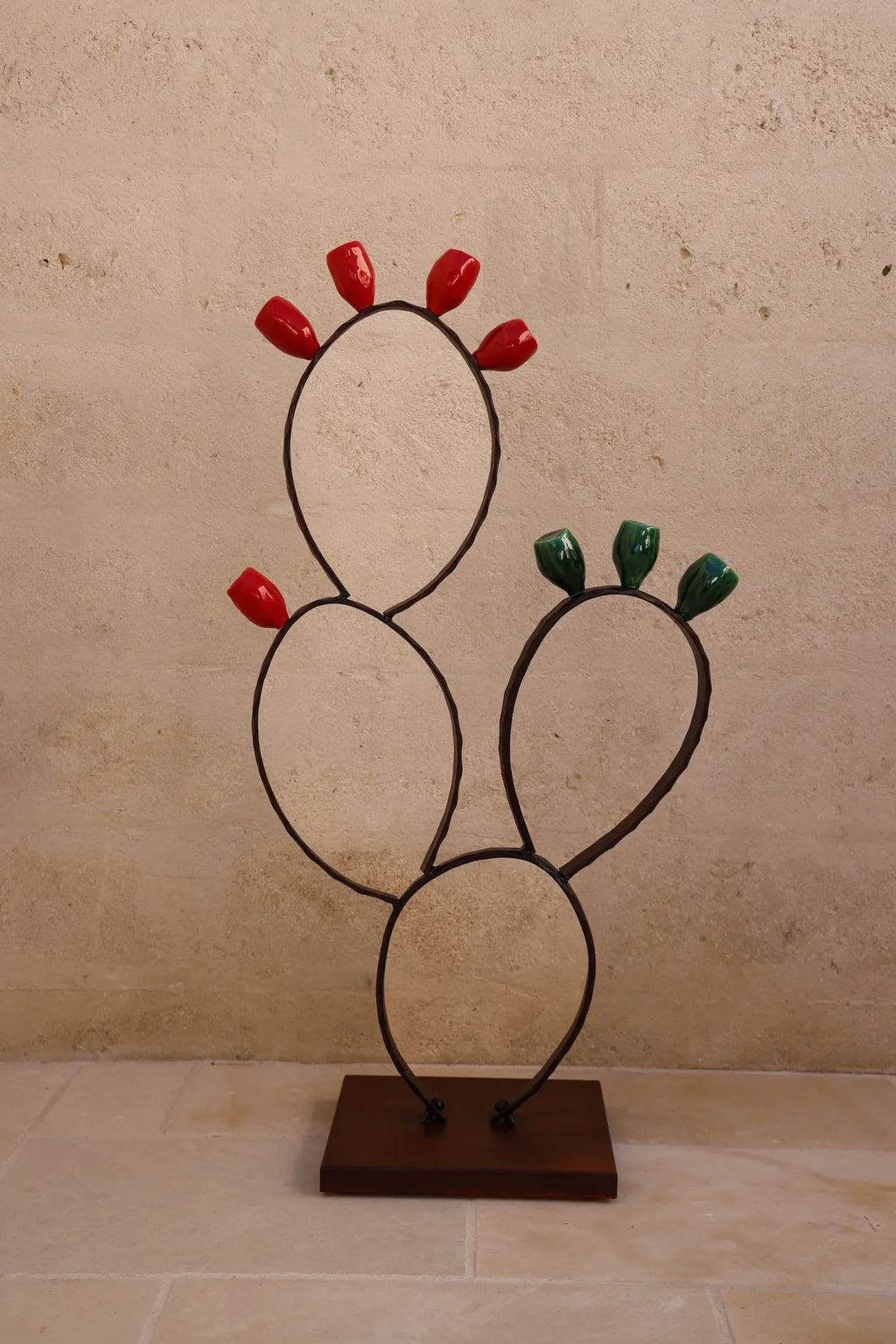 CACTUS DA PAVIMENTO