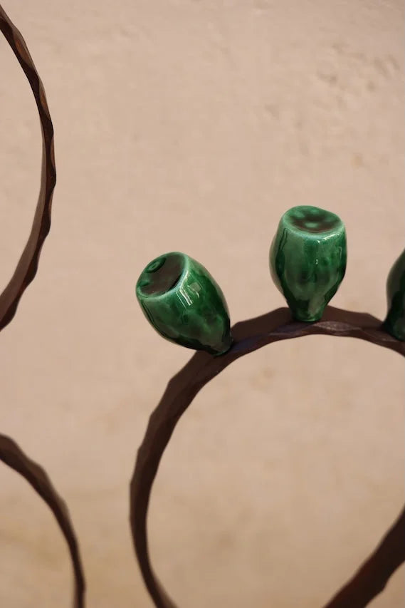 CACTUS DA PAVIMENTO