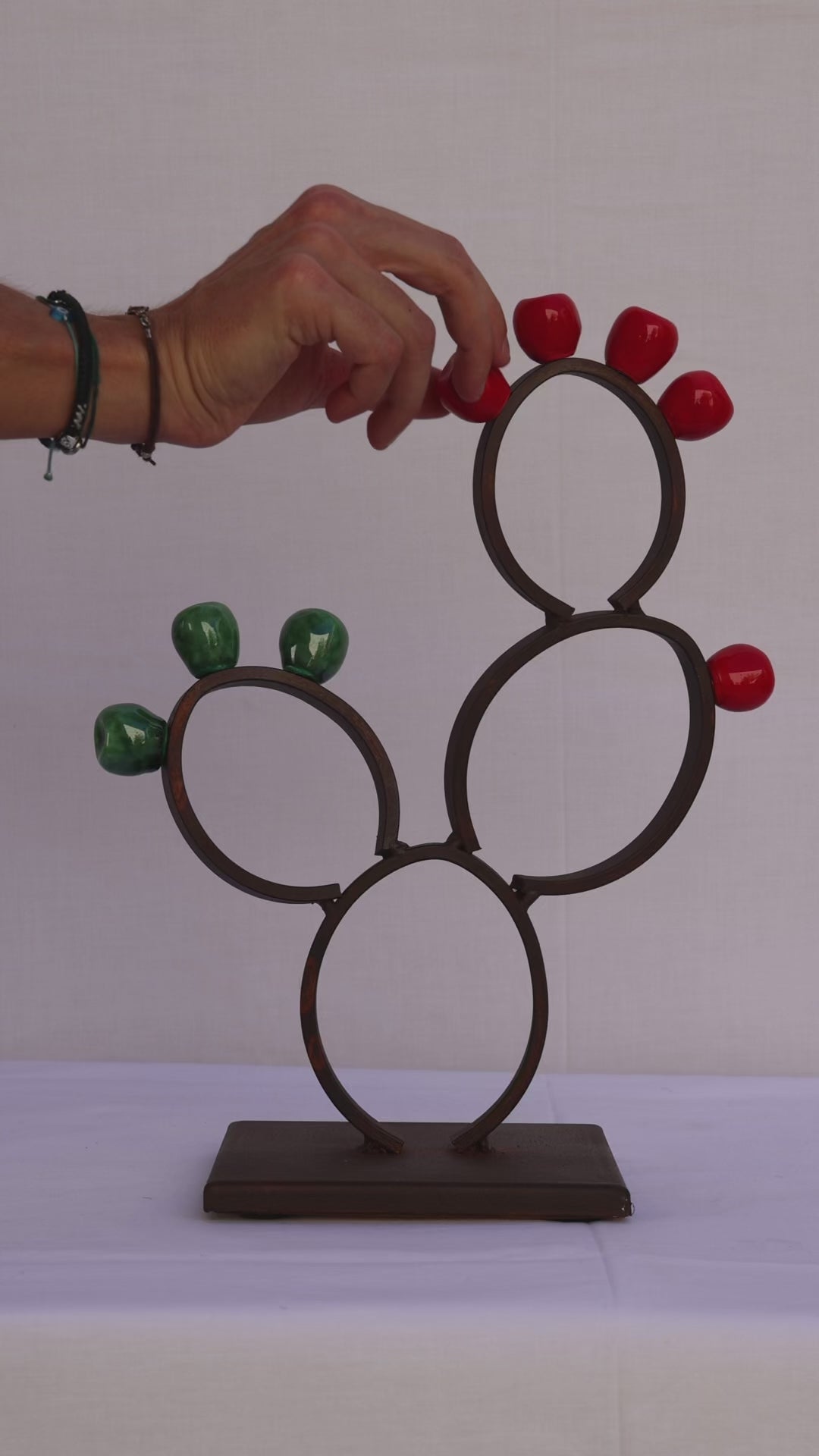 MAGNETIC FRUITS CACTUS